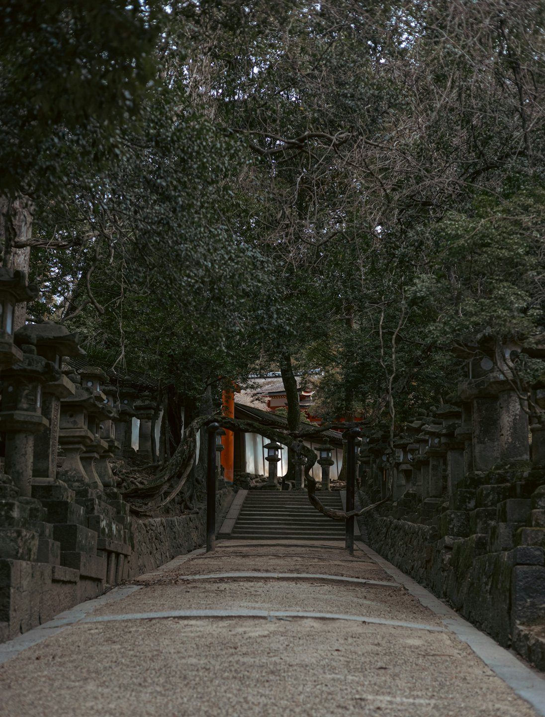 石畳が伝統的な日本の神社の入り口へと続いている。