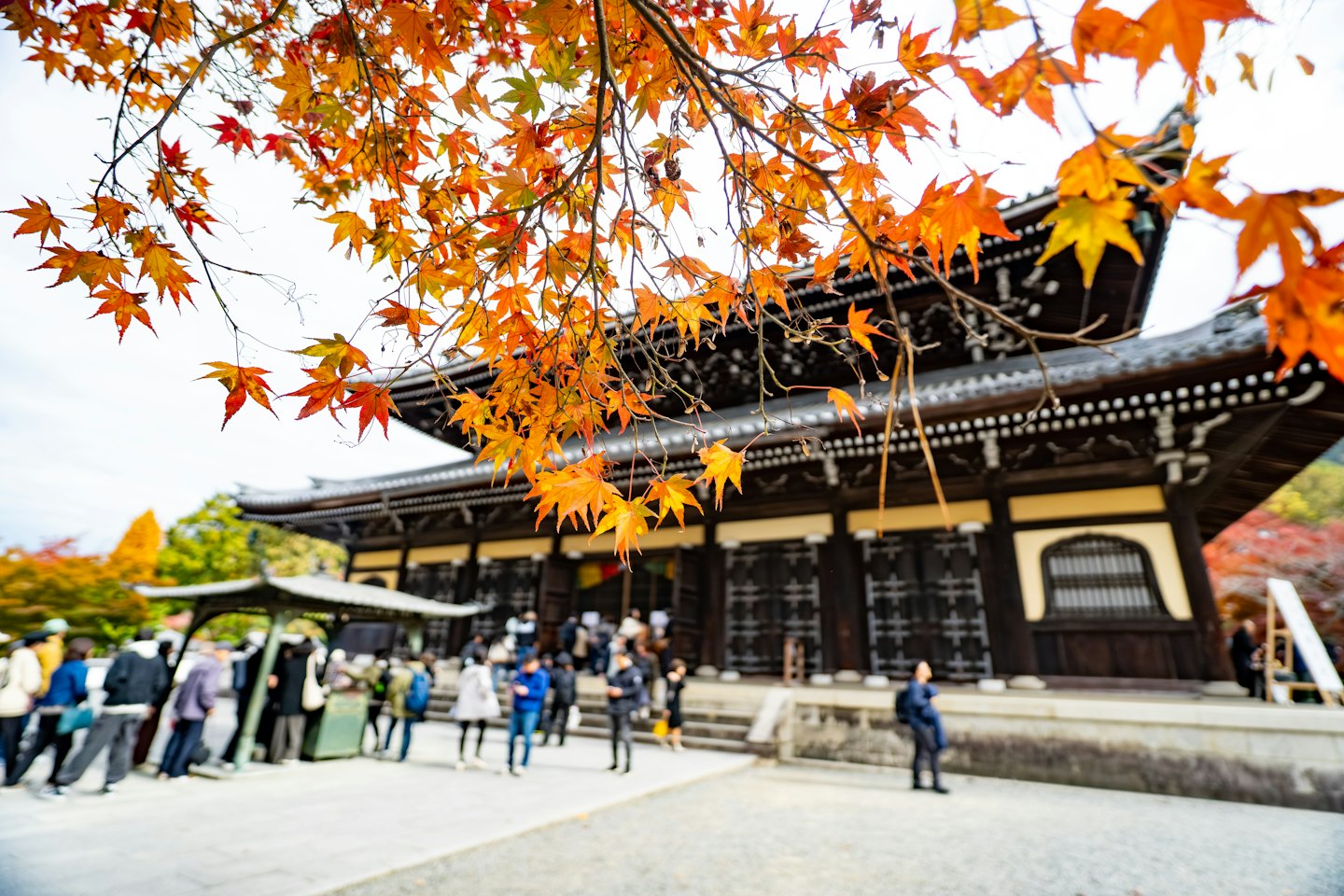 紅葉に縁取られた日本の寺院の前を観光客が歩いています。