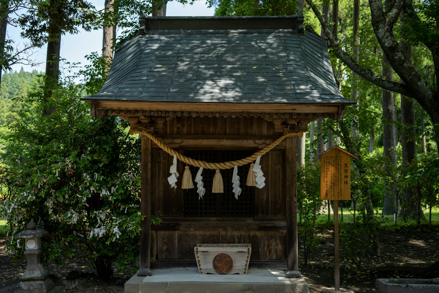 緑豊かな木々や葉に囲まれた、伝統的な木造の神社。