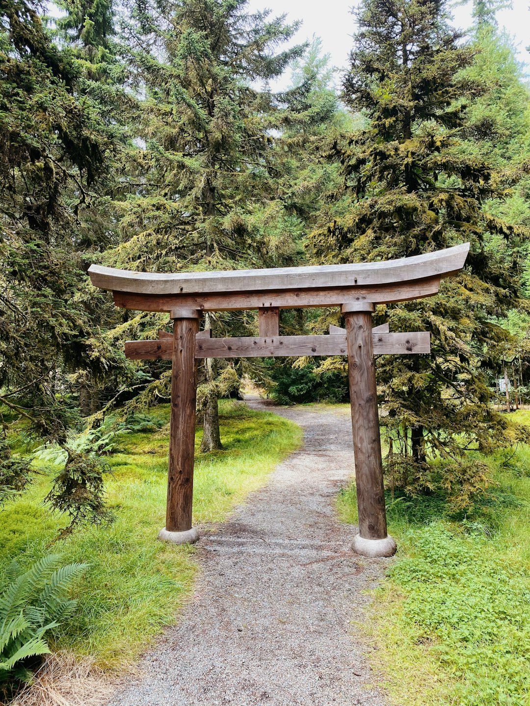 森の中の小道に立つ木造の鳥居。