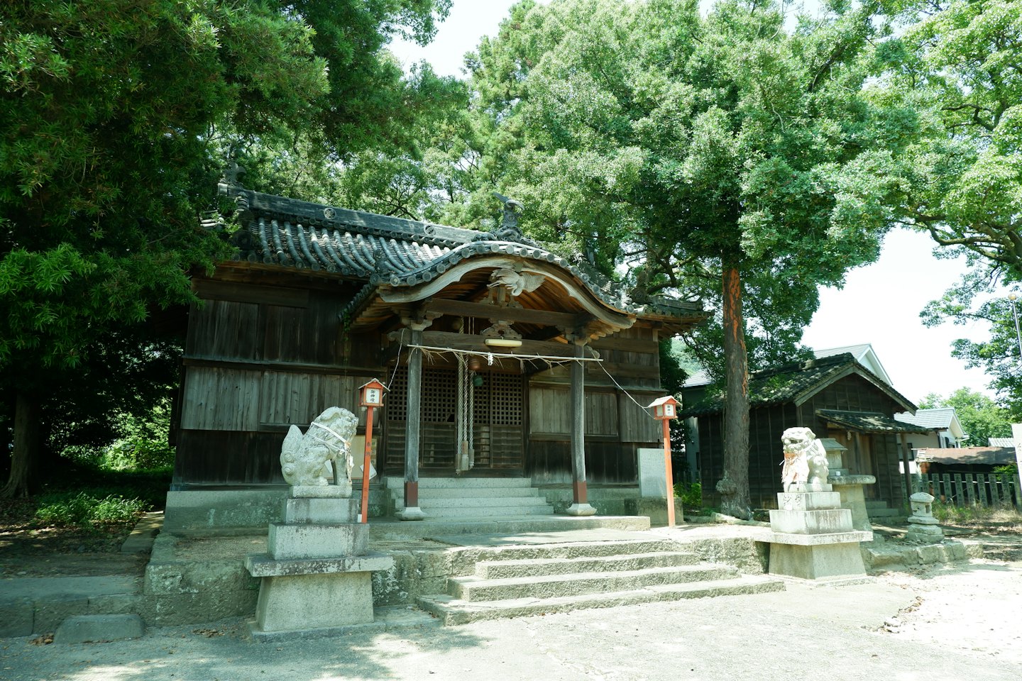 風雨にさらされた木造の日本の神社の前に石の狛犬が立っている。