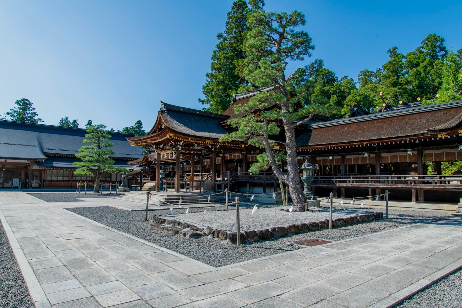 縁結びから金運まで、願いが叶うと話題のご利益別おすすめ神社